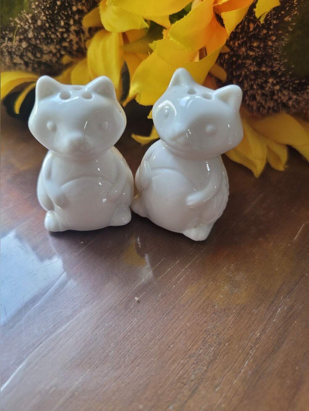 Cute White Ceramic Raccoon Salt and Pepper Shaker Set